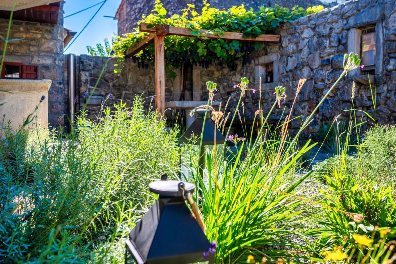 Willa Karst House Zan Pliskovica With Private Pool Dutovlje Zewnętrze zdjęcie