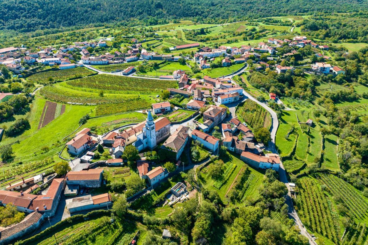 Willa Karst House Zan Pliskovica With Private Pool Dutovlje Zewnętrze zdjęcie